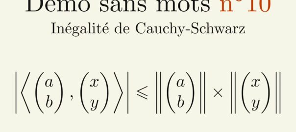 Miniature de la vidéo numéro 8 de la série Démo Sans Mots, qui porte sur l'inégalité de Cauchy-Schwarz.